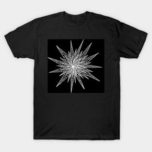 Zig Zag Star Negative T-Shirt